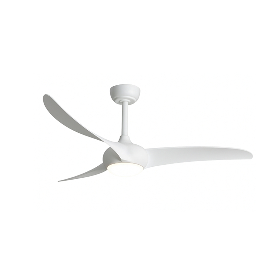 Ventilateur de plafond
