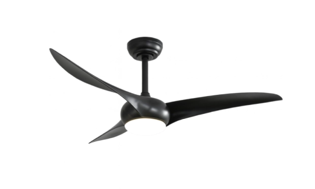 ESC 310 Black