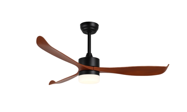 ESC 322 Brown