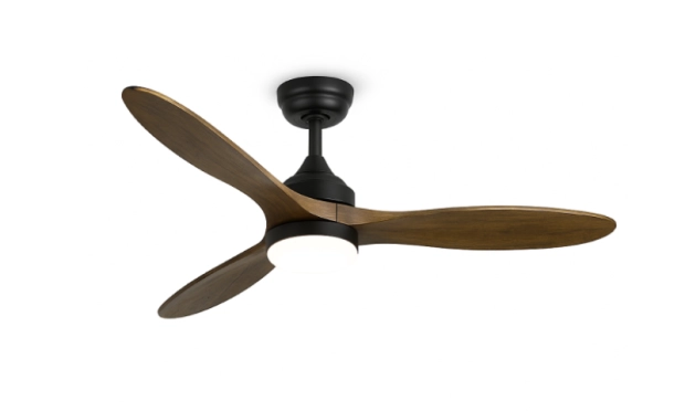 ESC C193 B Brown